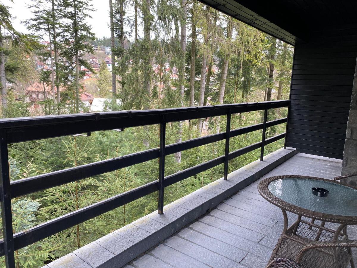 Smart Sinaia