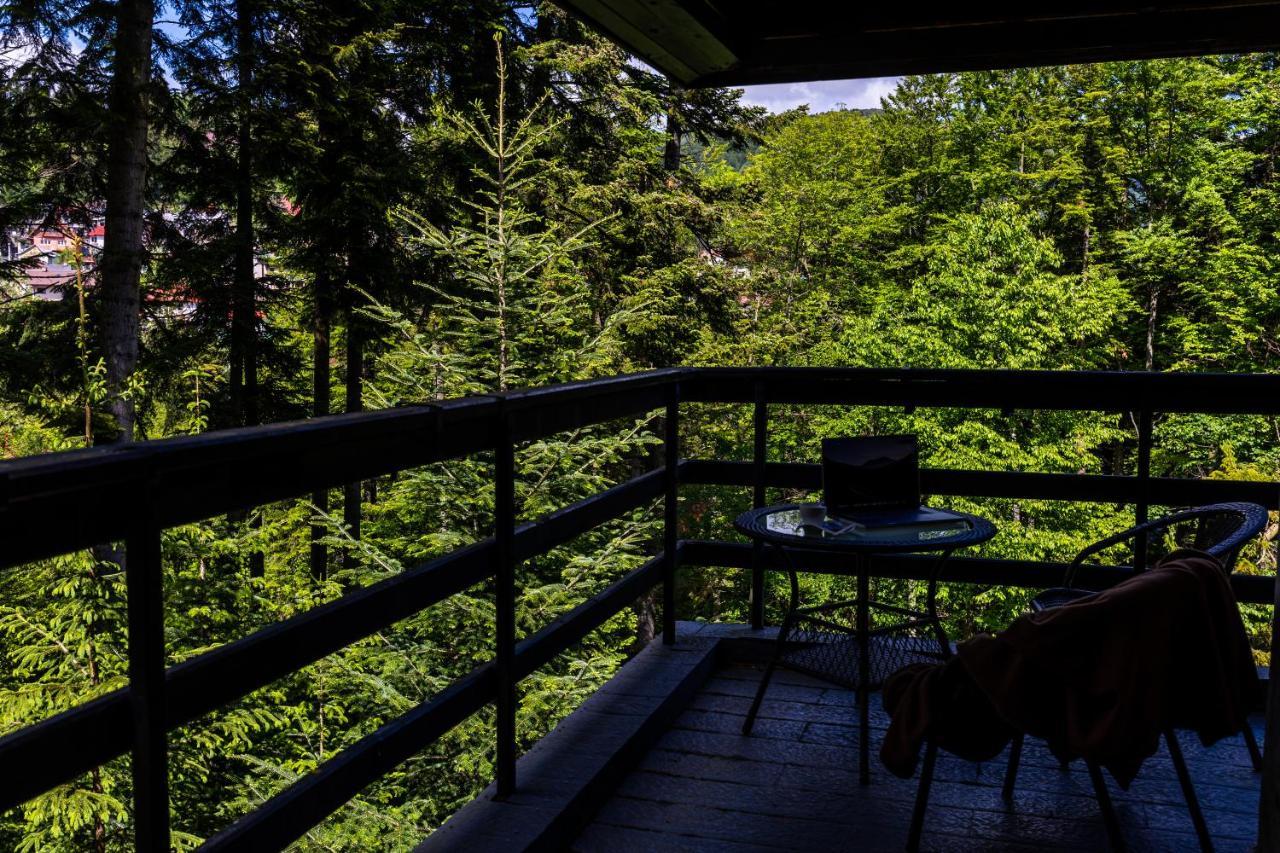 Hotel Smart Sinaia