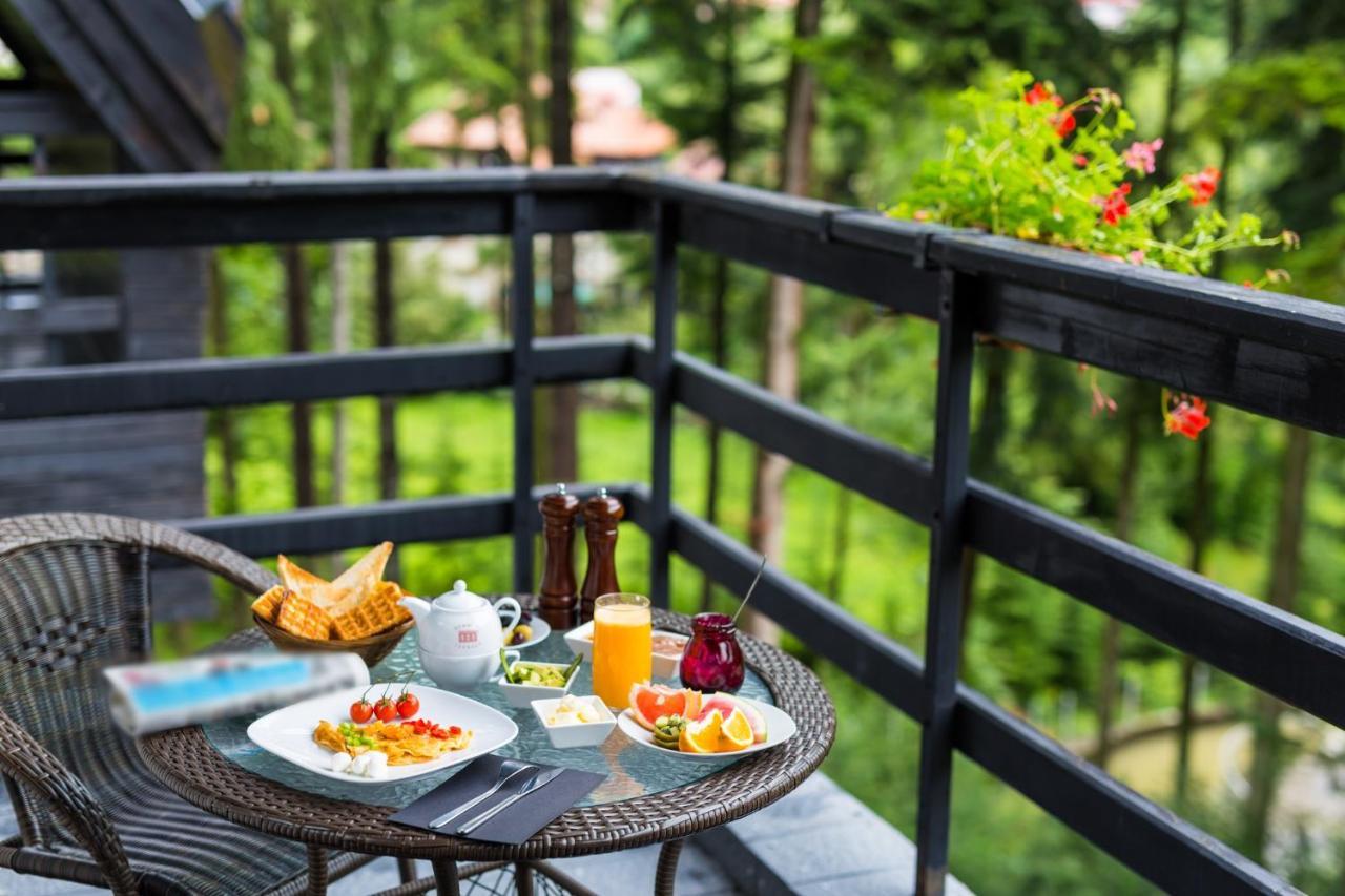 Hotel Smart Sinaia